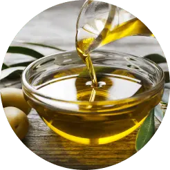 Maschera per capelli secchi 1000ml Mg Hair Progress